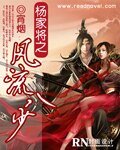 楊家將之風流八少/風流楊家將