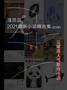 理想国2021最新小说精选集（出版书）